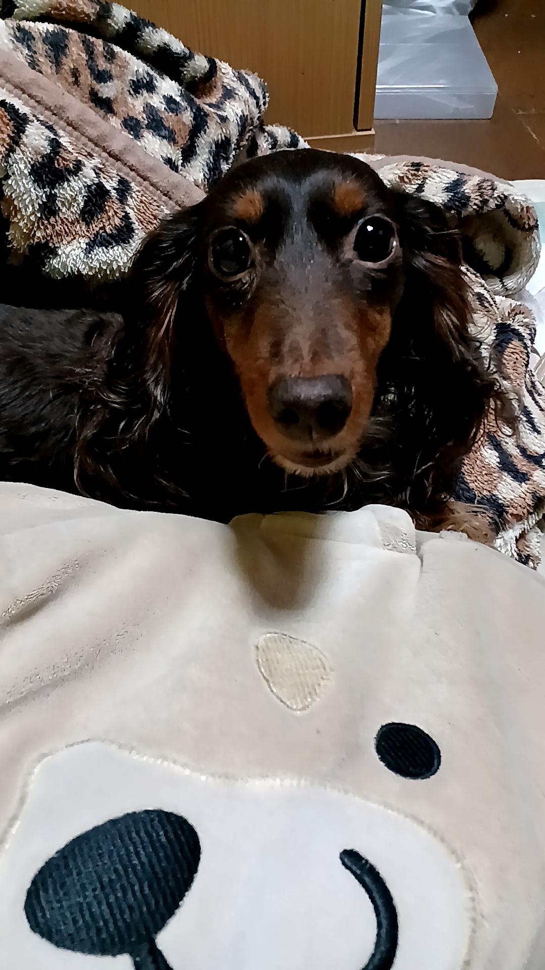 �Q��7���@�^��