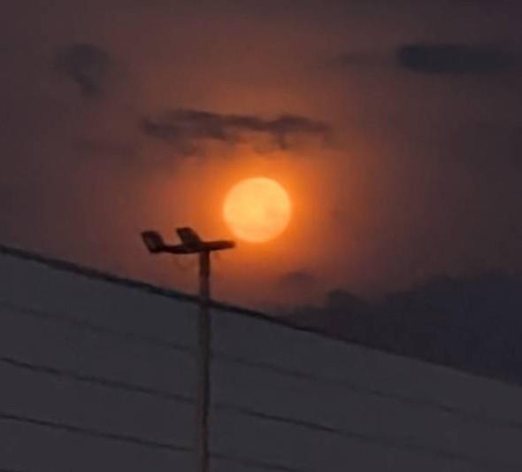 �����̖����ƒ�������