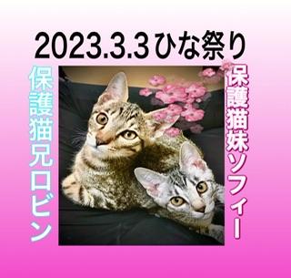 ���̐ߋ�E�����lR 5�N3.3.����