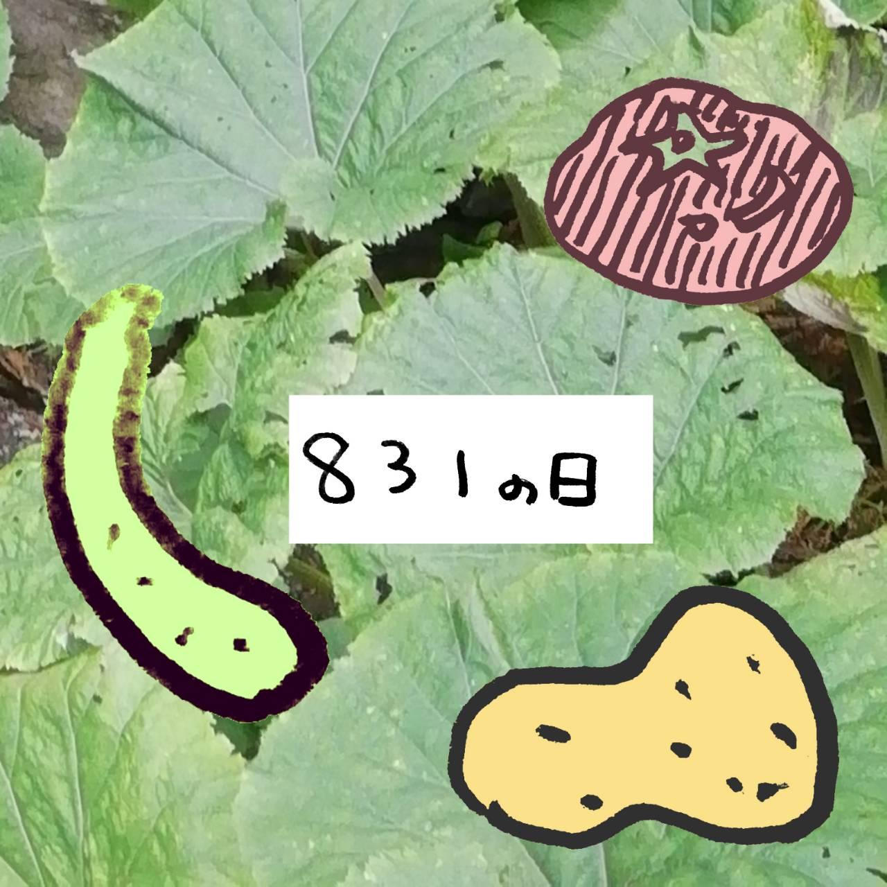 831�ł₳���̓�