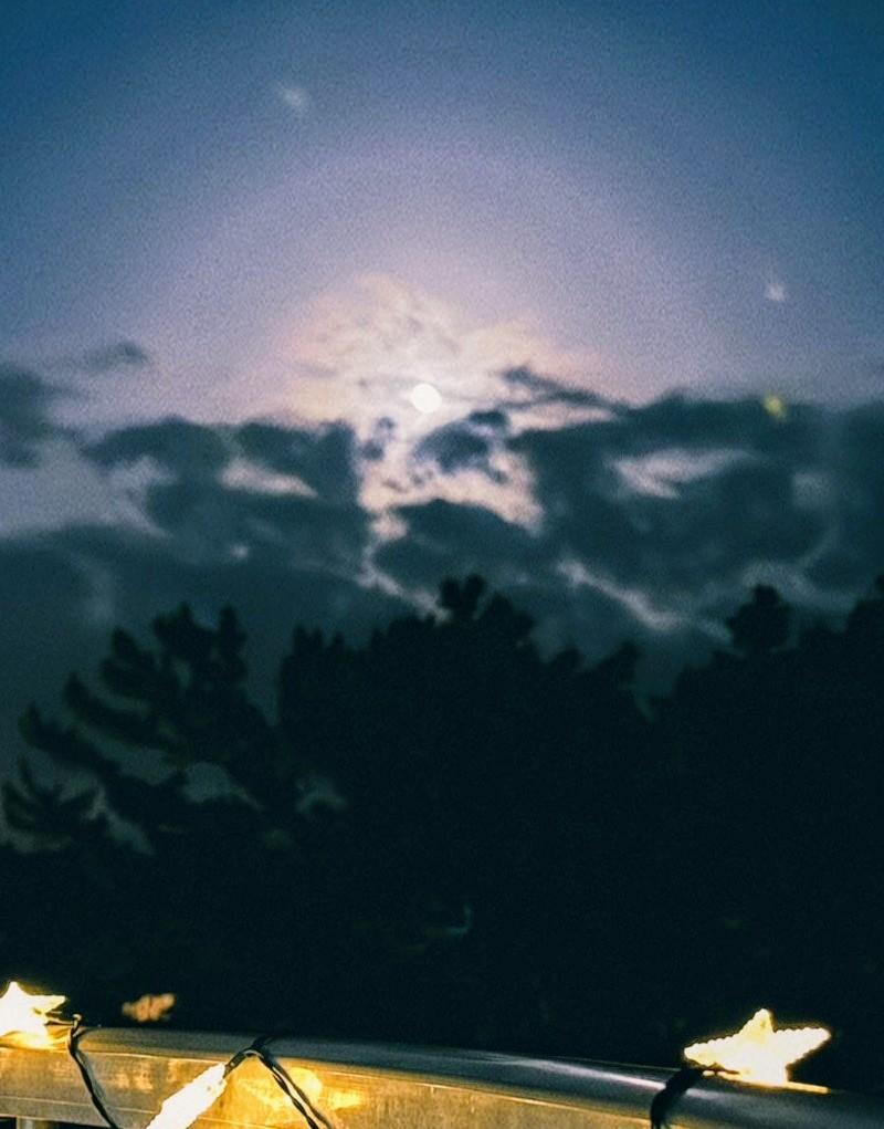 ���Ȃ��̔g����