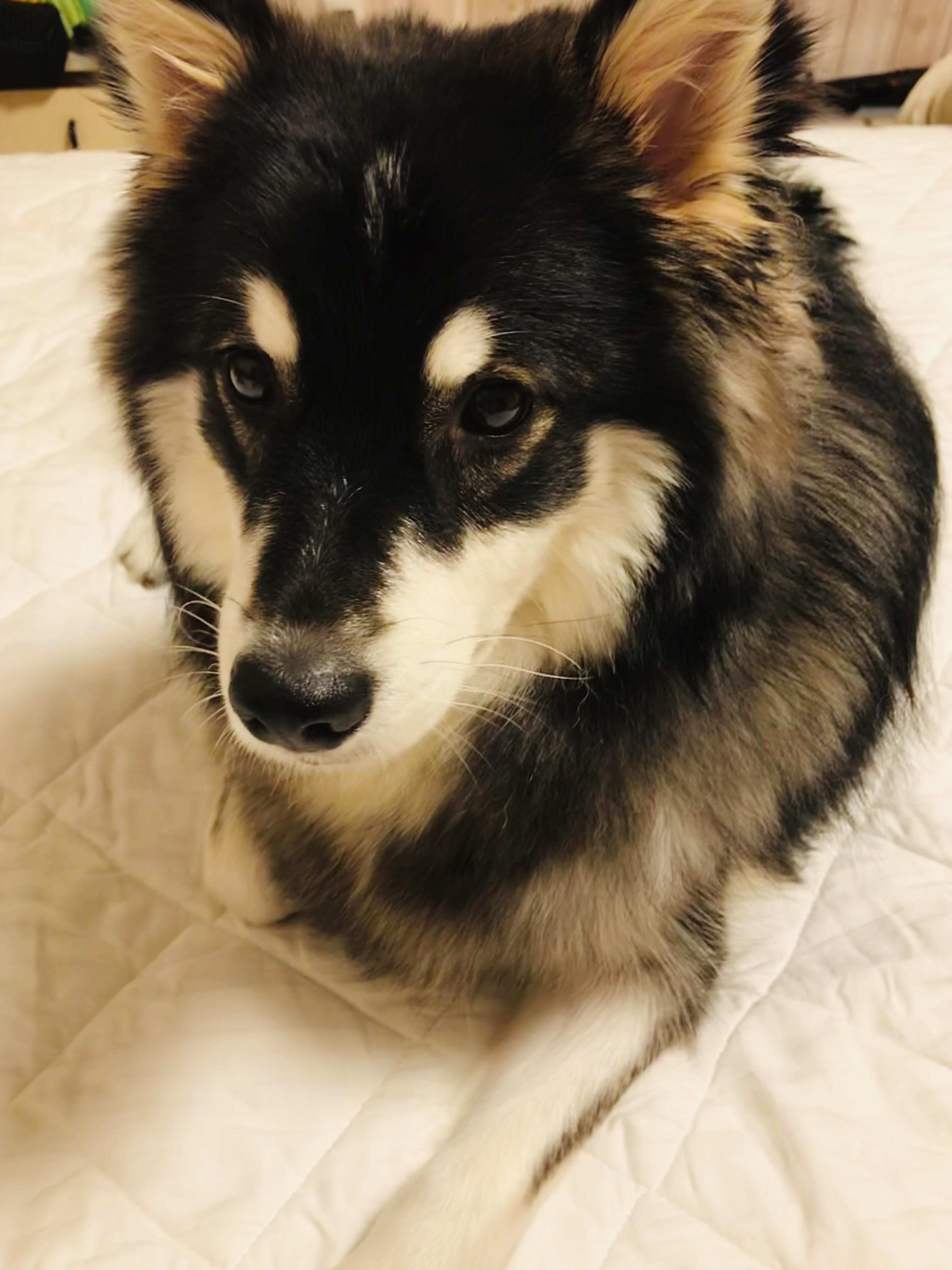 ���z�̕v�w���́E�E�E