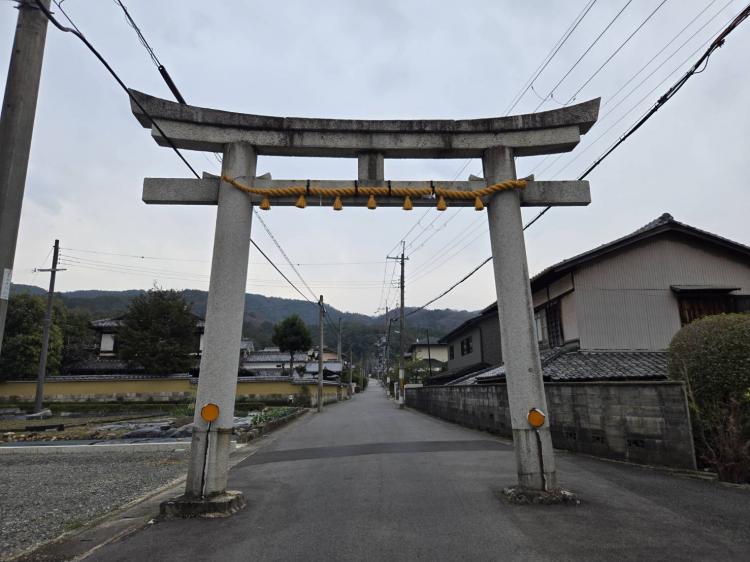 �R��26���@�����^