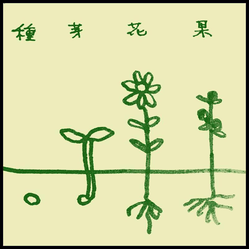 �������ς��Ύ��肪�ς��B