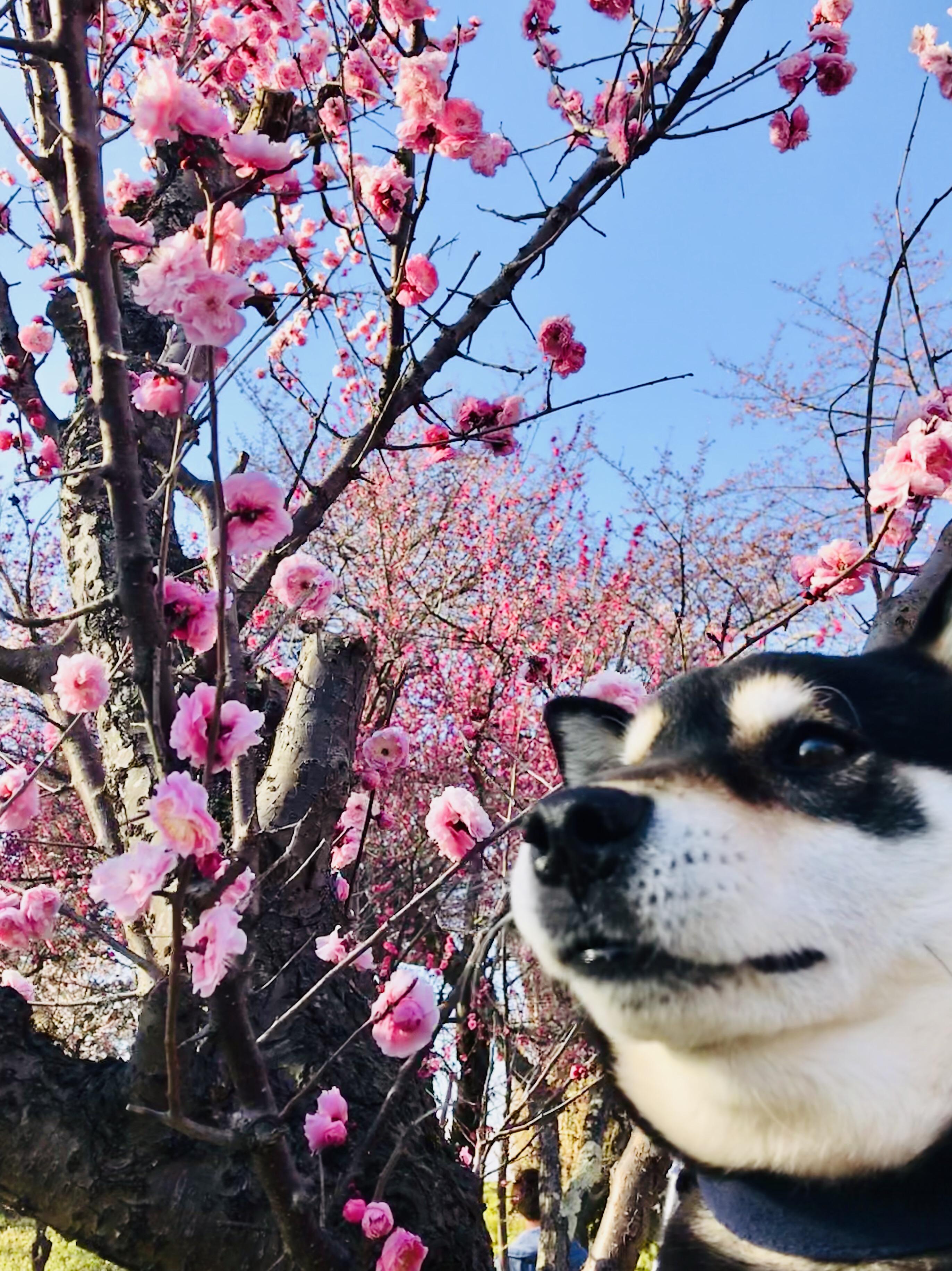 �K���ɂȂ邽�߂Ɂu���̎�ɂ̂������́v