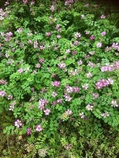 �܂��܂������������Ă��܂�