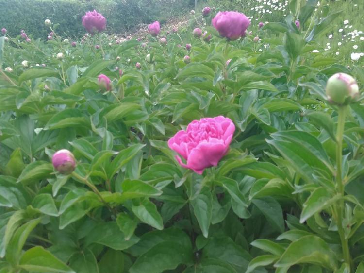 �����T�ŏI��