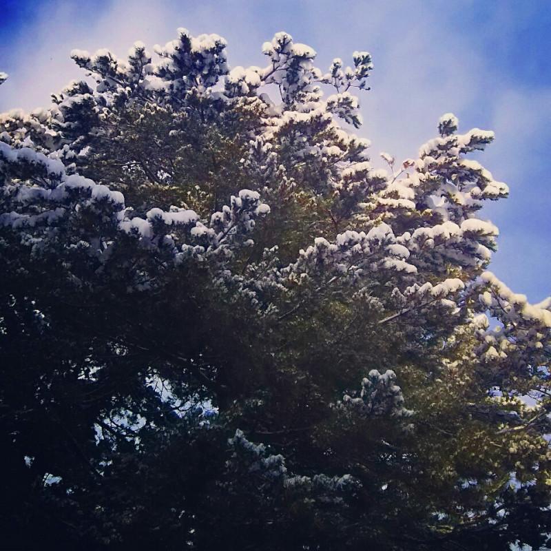 �������芦�X�����Ȃ�܂����B