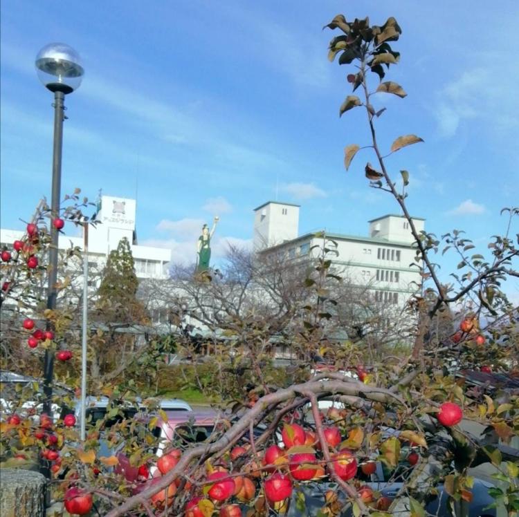 �ÒÌy�̋S�R�J�[�h�W�߃X�^�[�g�I