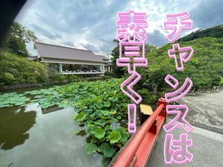 �S�Ɛg�̂����R4.7.20����