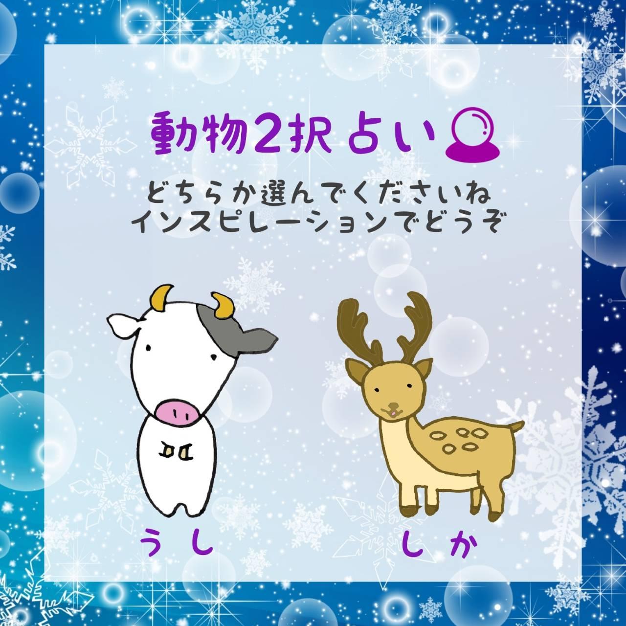 12���O��2��肢�I�A�h�o�C�X���ǂ�����