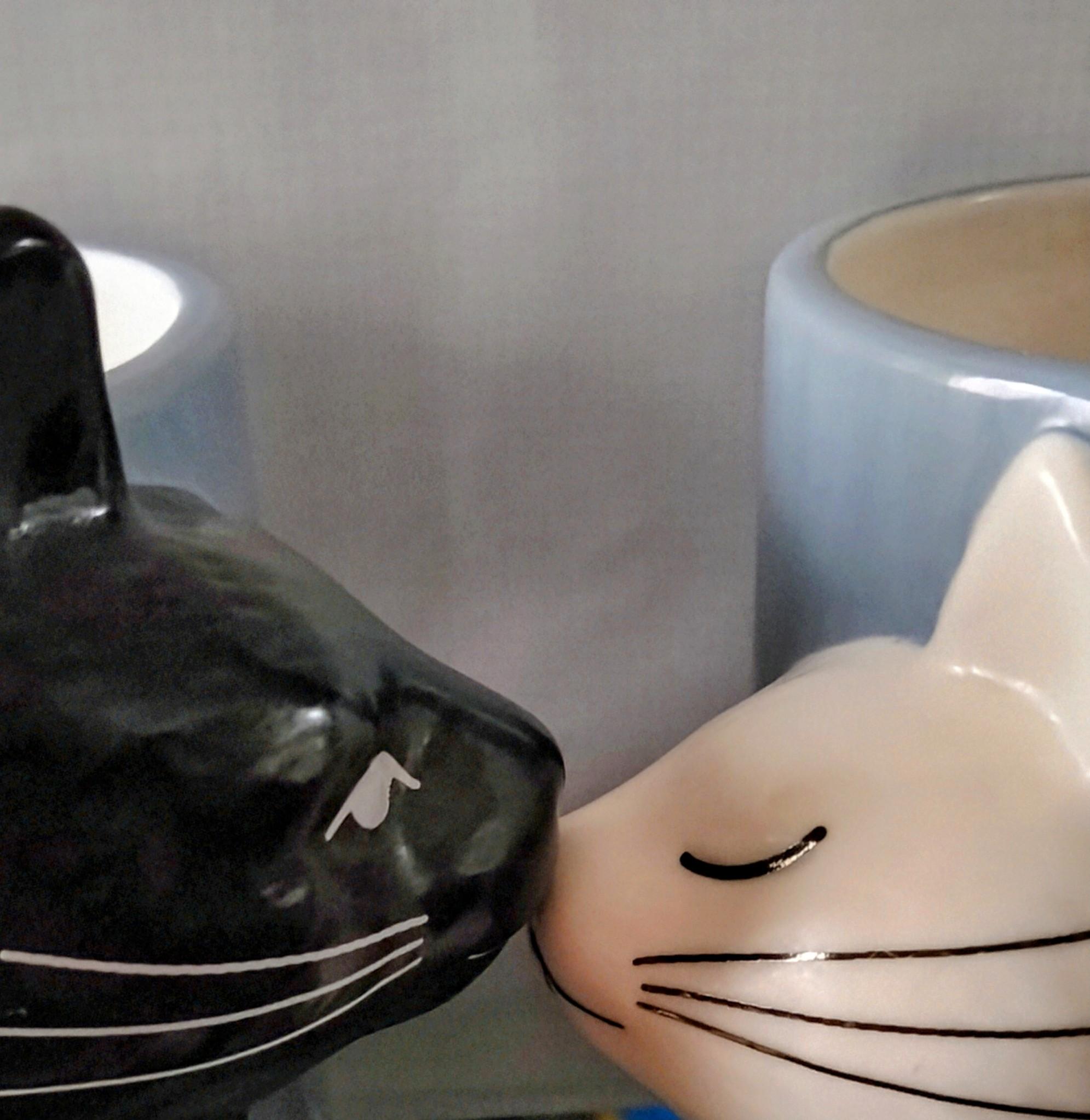 ���̌q���肪�c