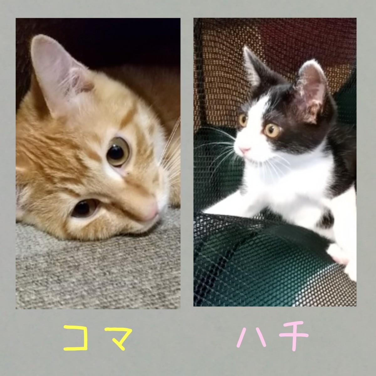 �L�肢�y11���㔼�z�@�[��ҋ@�̂��m�点