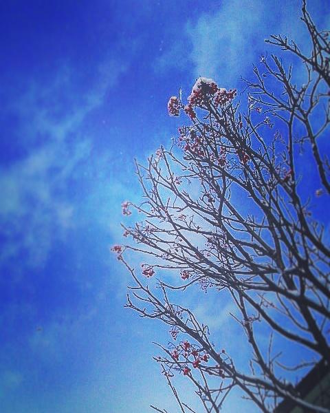 �C�j�V�G�[�V�������u