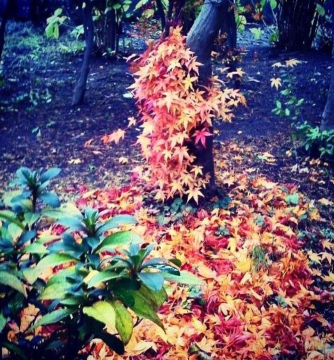 �����̓����͂��x�݂����������Ă��܂����B