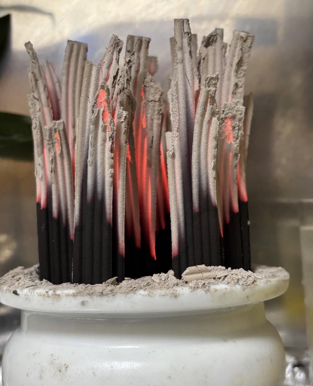 ���䍁�i�q���E�R�[�j�v�̉��Ɋ肢���悹��