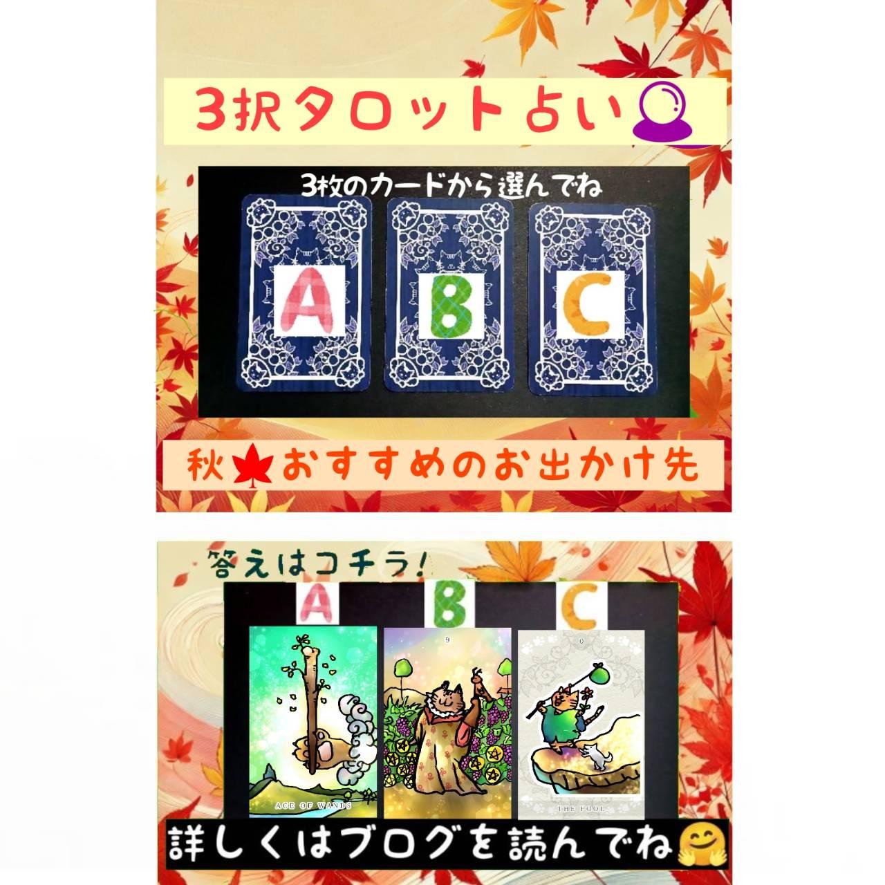 �y�^���b�g�肢�z�H�I�������߂̂��o������