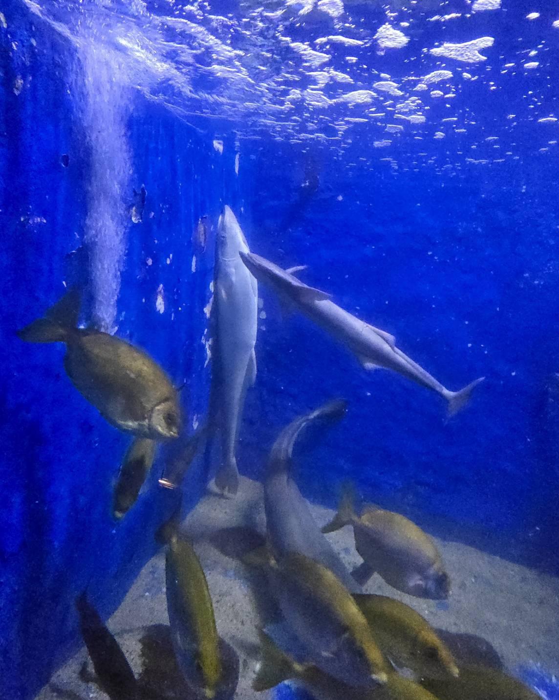 �P�O��16���@�����^