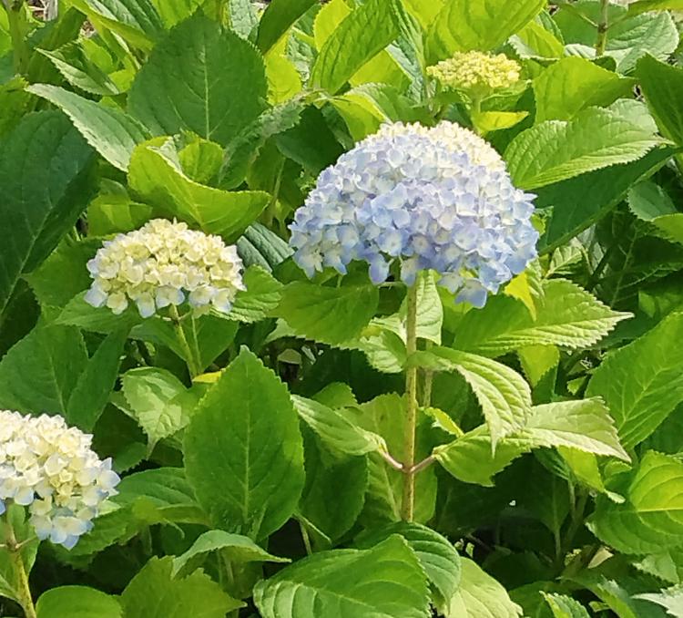 �L���L�����o�鎞