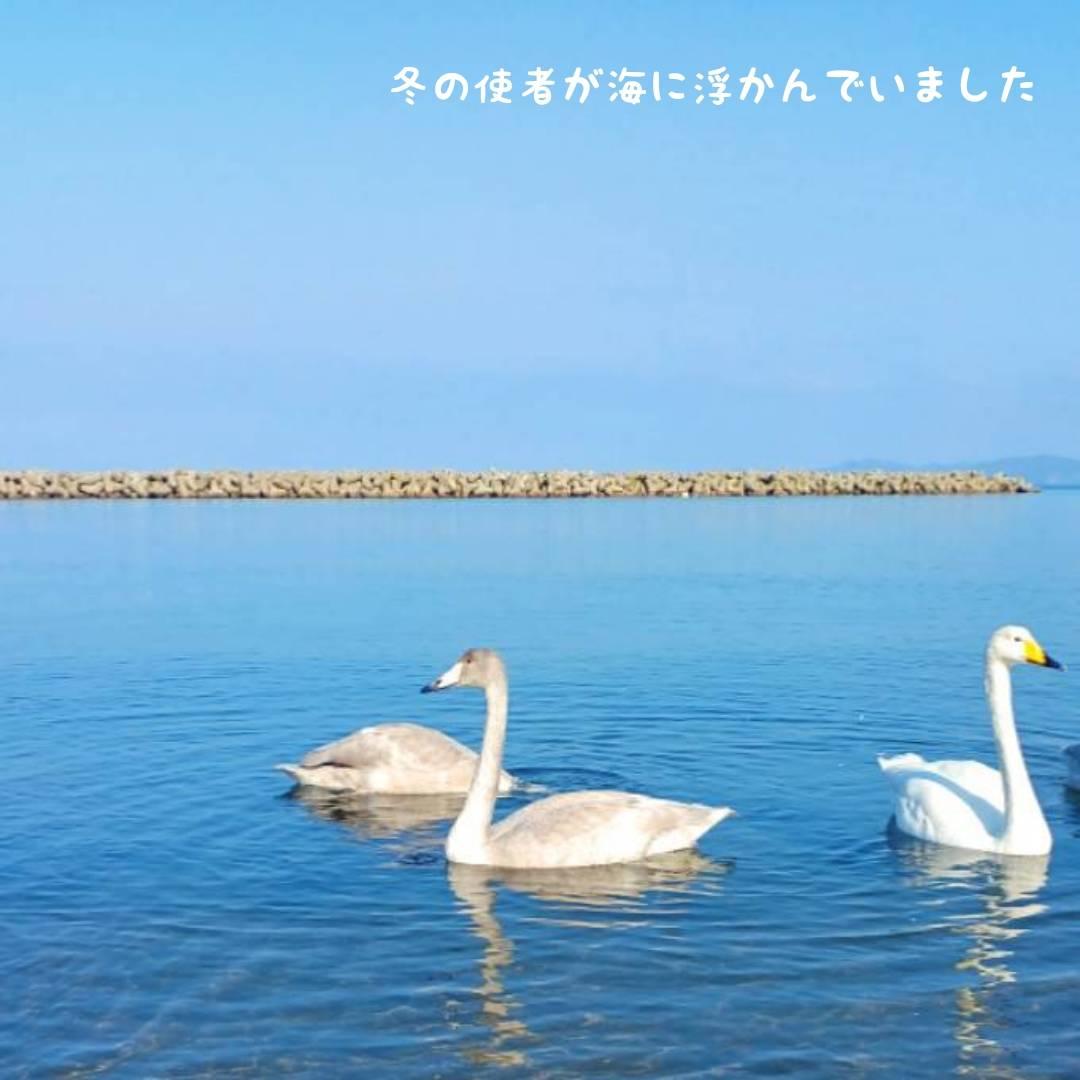 ��̐▽�̊�@���~�����I�n�N�`���E�`���I