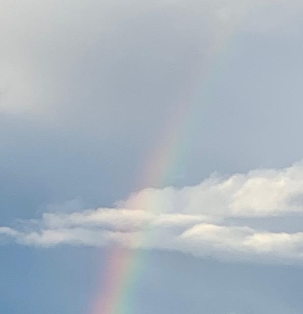 ���V�����肢���{�[�����F���֓����Ă݂悤