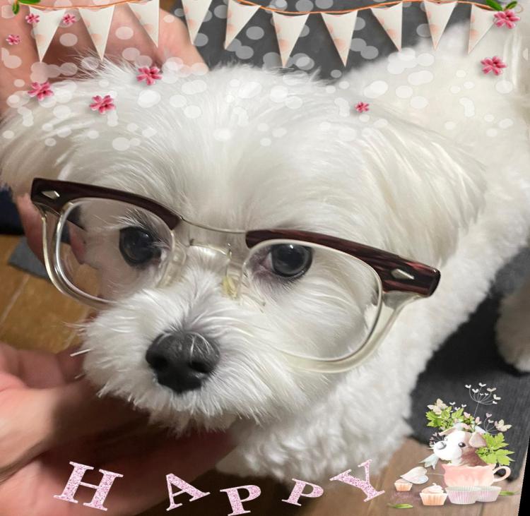 �ꗱ���{�̓��Ƃ��Ȃ��̃��b�L�[�f�[