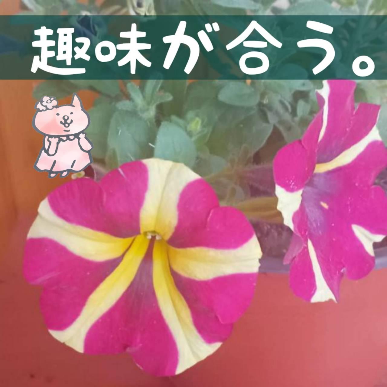 ��������I�̂͋��݁B