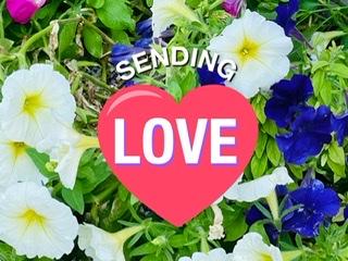 �q���̗l�ɖ��׋C�ȑ���B7.04����