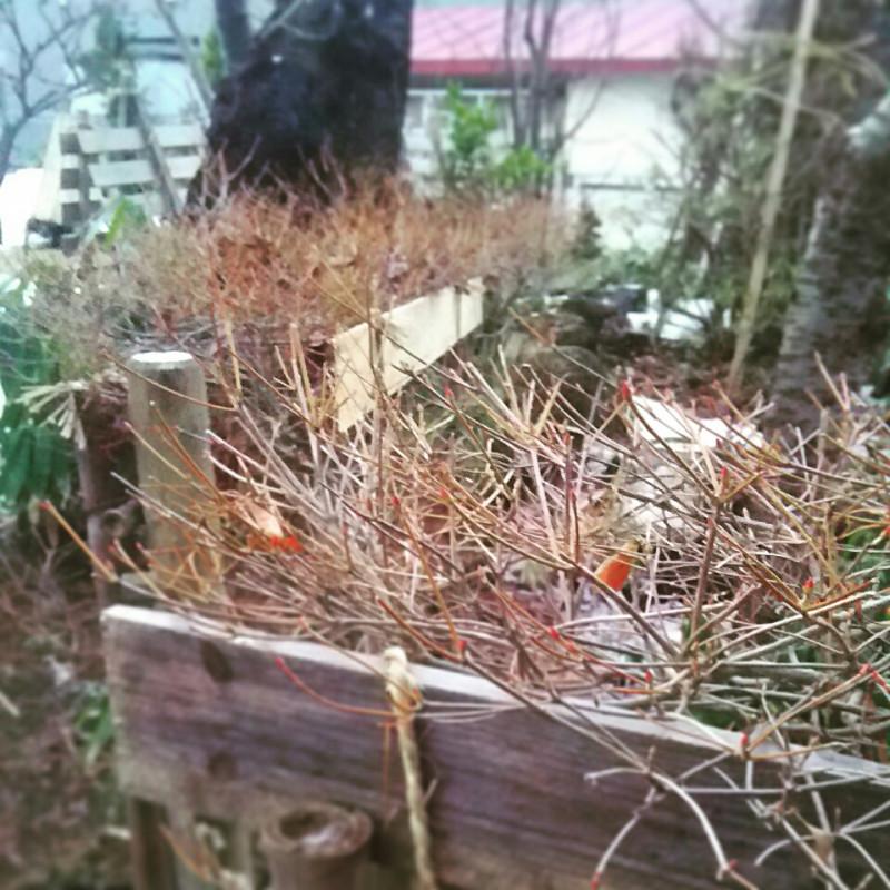 �J�[�h�Ƙb��