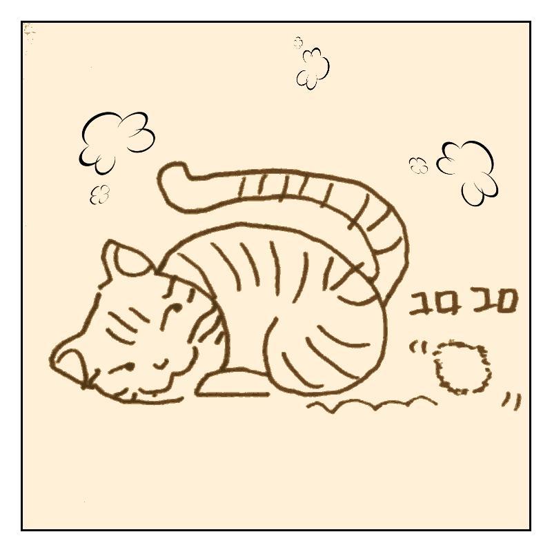 �R���R���@�����O�����Over.