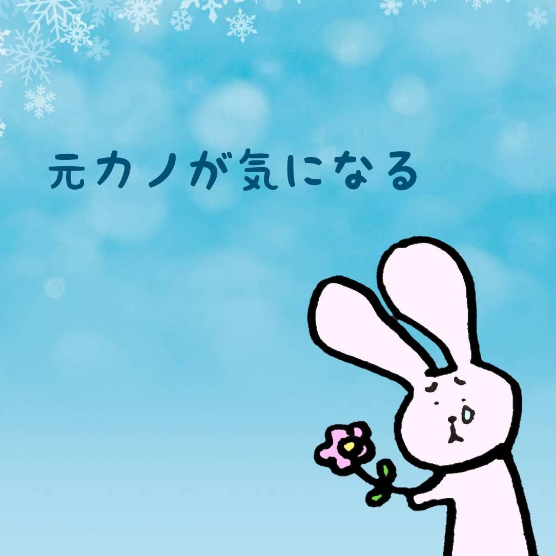 ���i�����Ⴄ�I���J�m�̑��݂��c���C