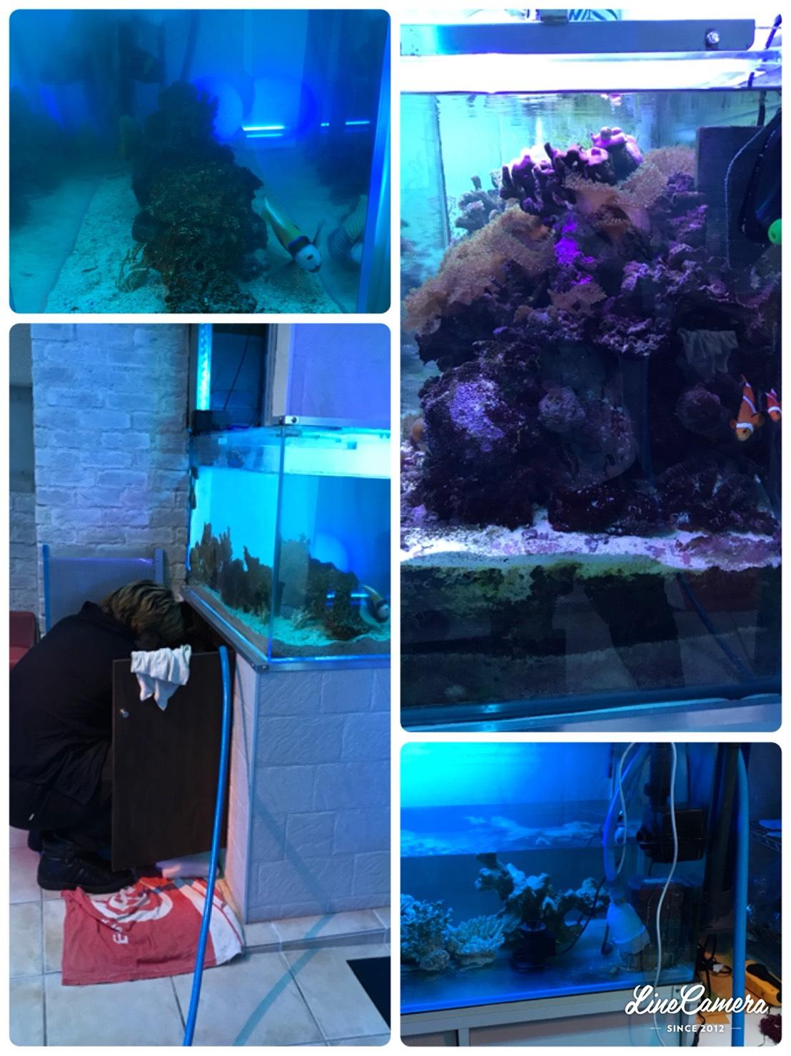 �C�����̐�����