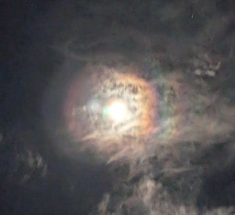 ����̏�̕���