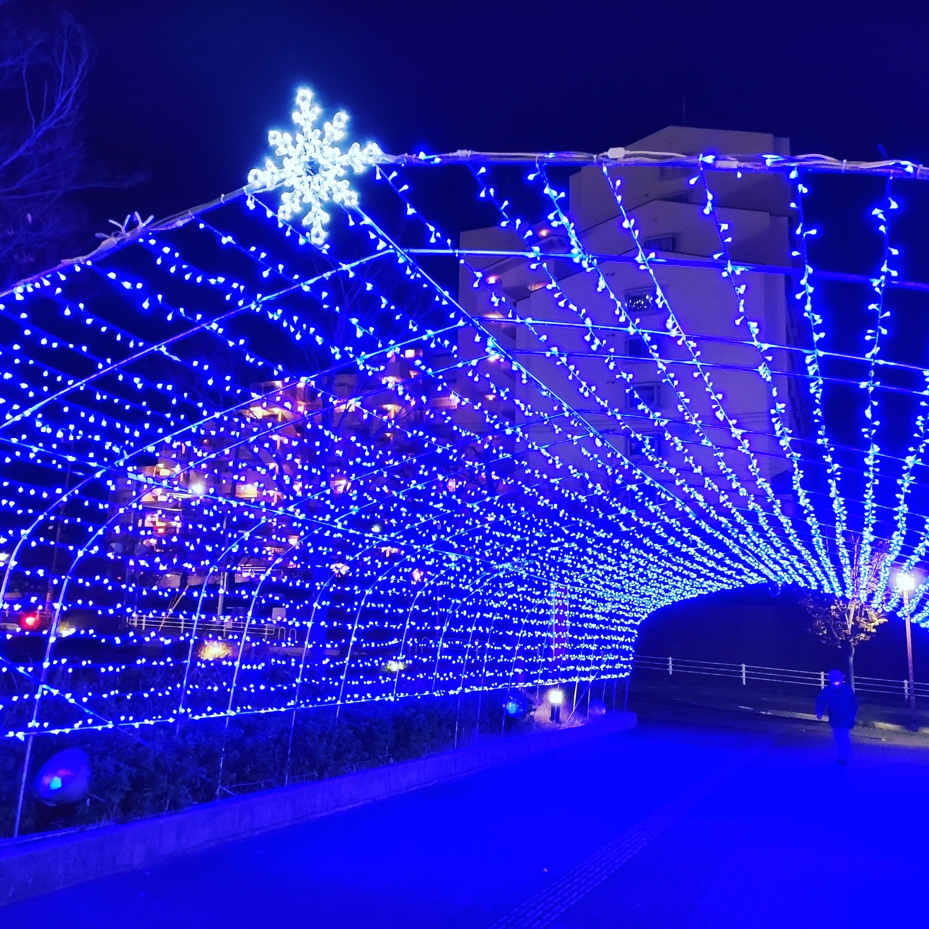 �f�G�ȋG�߂�����ė��܂�����