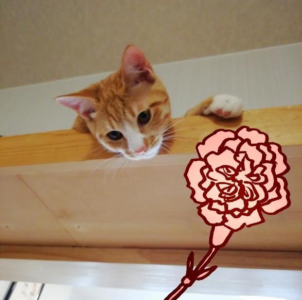 5/14�͕�̓��I�J�^�A�N�V������