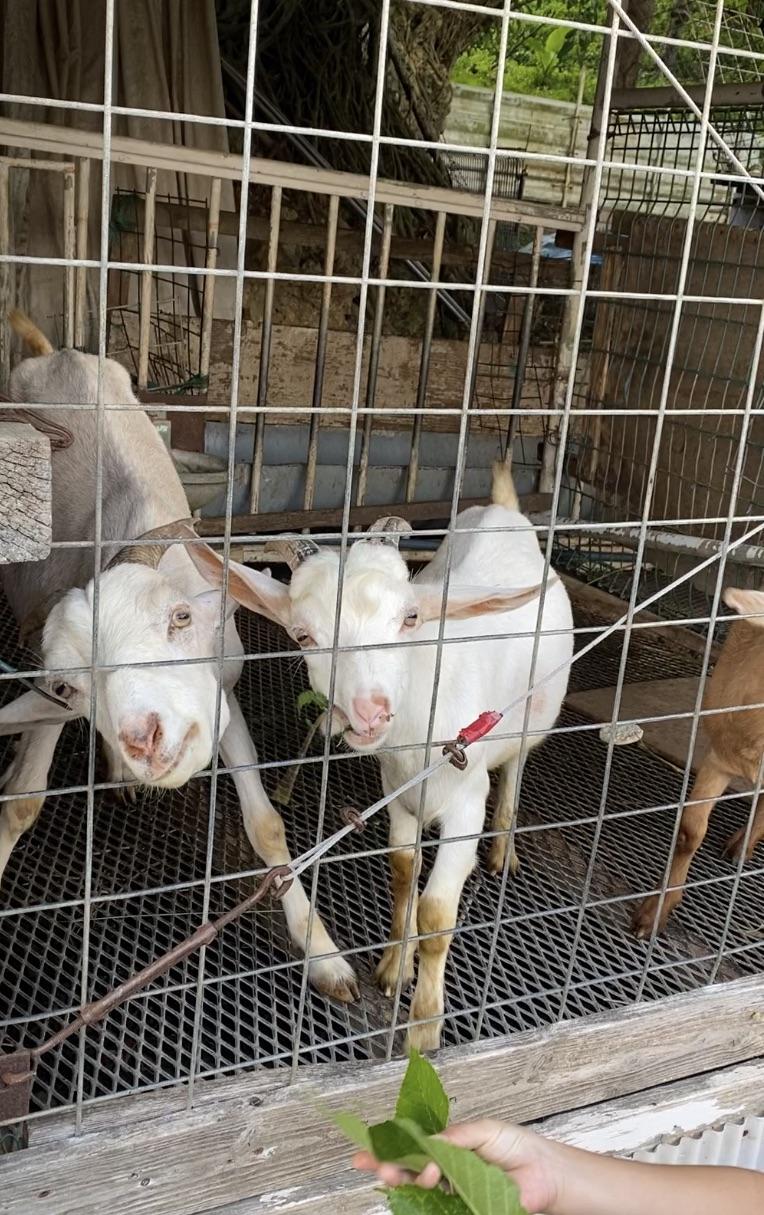 �€����X�s�b