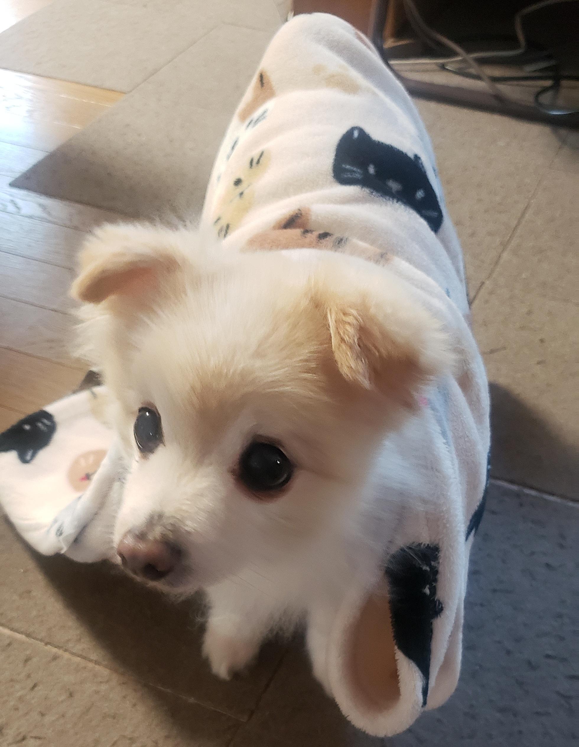 ����̋C������I�m�ɊςĂق����Ƃ���