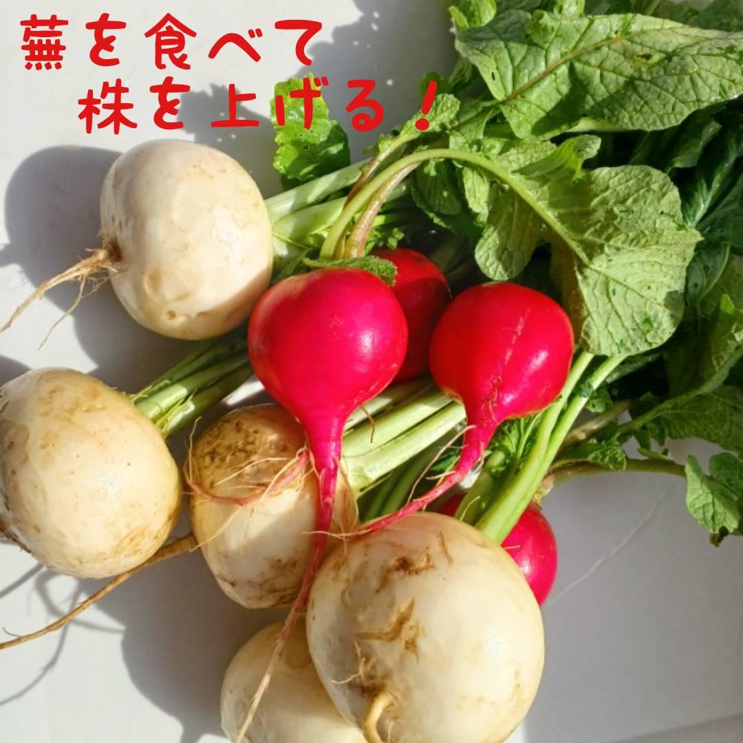 ���������H�ׂĉ��N��S���I
