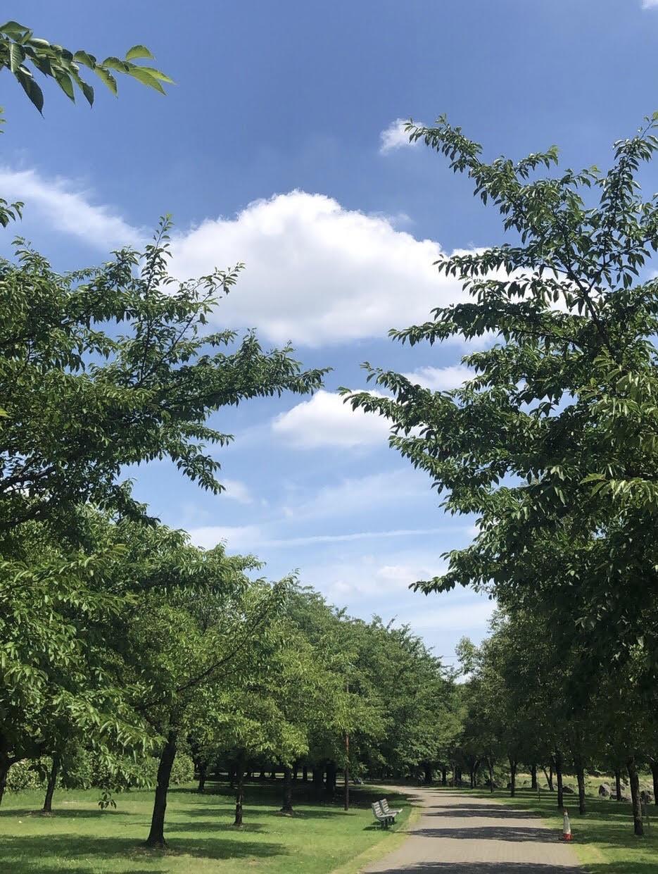 �����͗��H�ł�*�.�Kߥ*