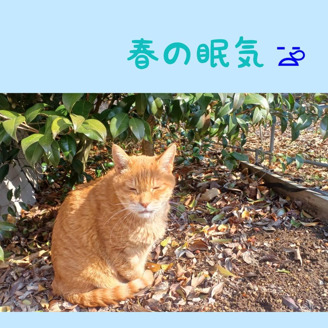 �t�́u���C�v�͍��̃A�b�v�f�[�g�H