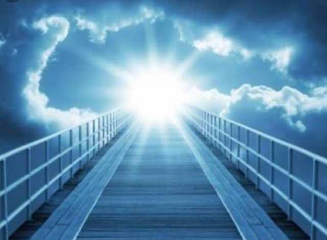 �_�l����̃��b�Z�[�W