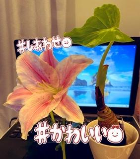 ������d���ו��@R4.6.22����