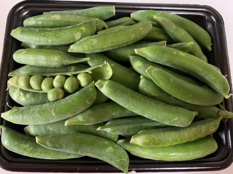 �O�����s�[�X