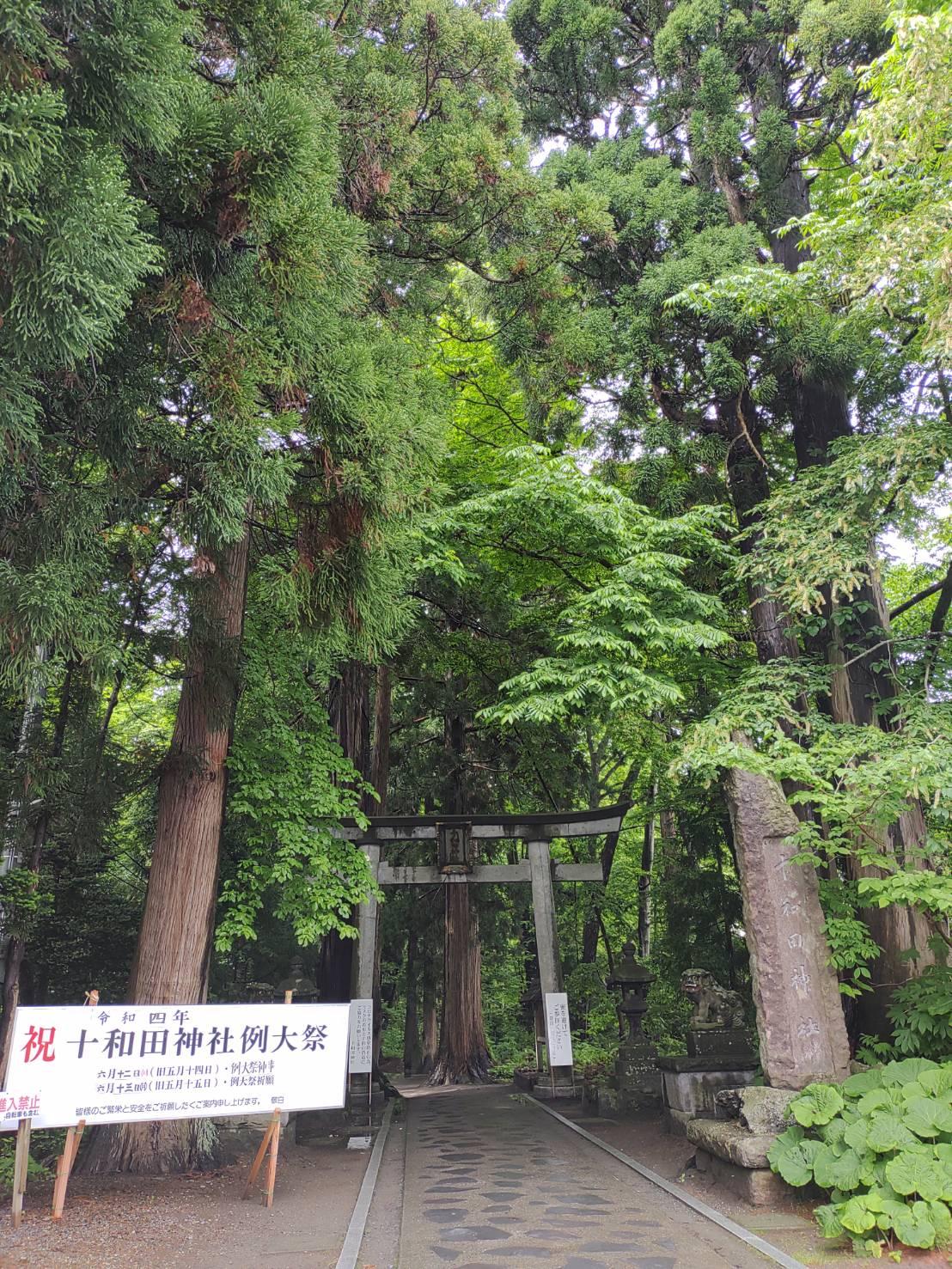 ��l�h���C�u�̍s��͎R���́c