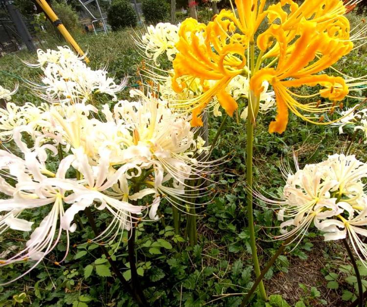 10��4���@�^��