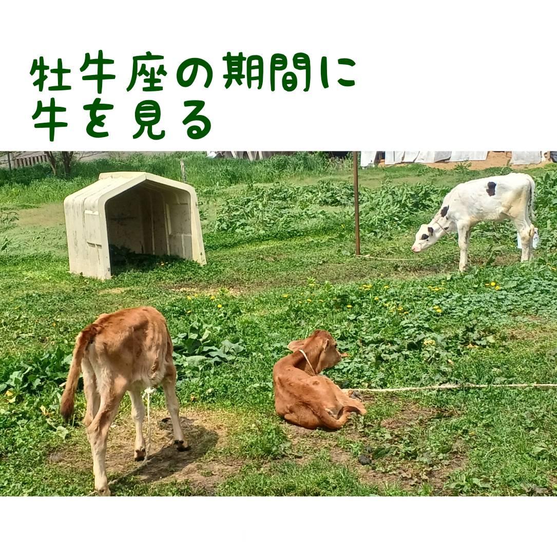 �������ɋ������Ȃ���A�C�X��H�ׂ�