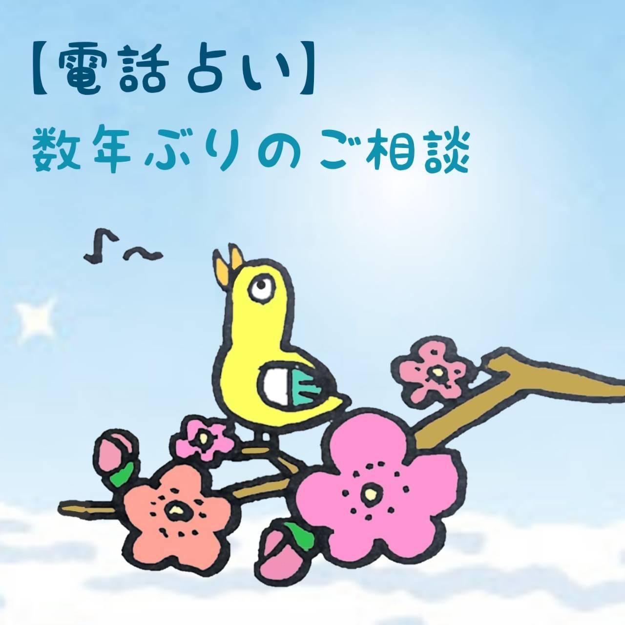 �y�d�b�肢�z���N�Ԃ�̂����k