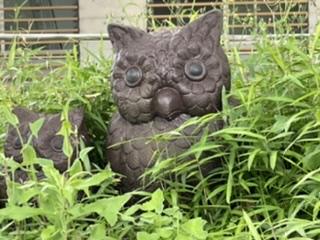 �O���[�v���猻���H6.2����