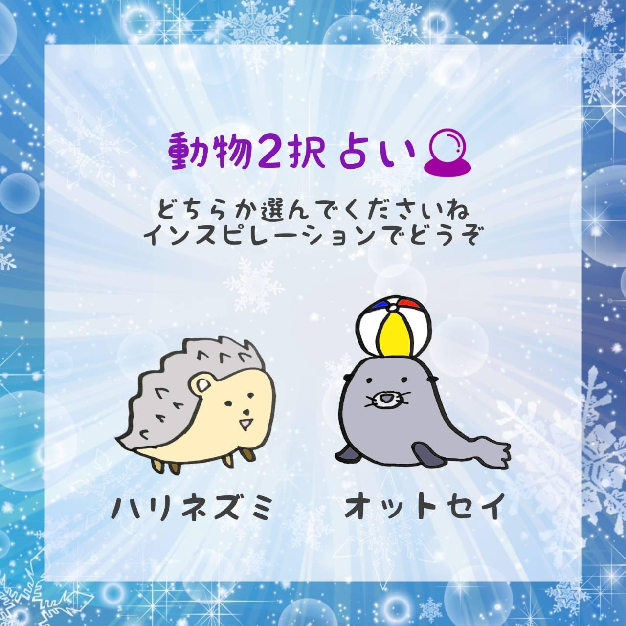 2��肢�I�A�h�o�C�X���ǂ�����