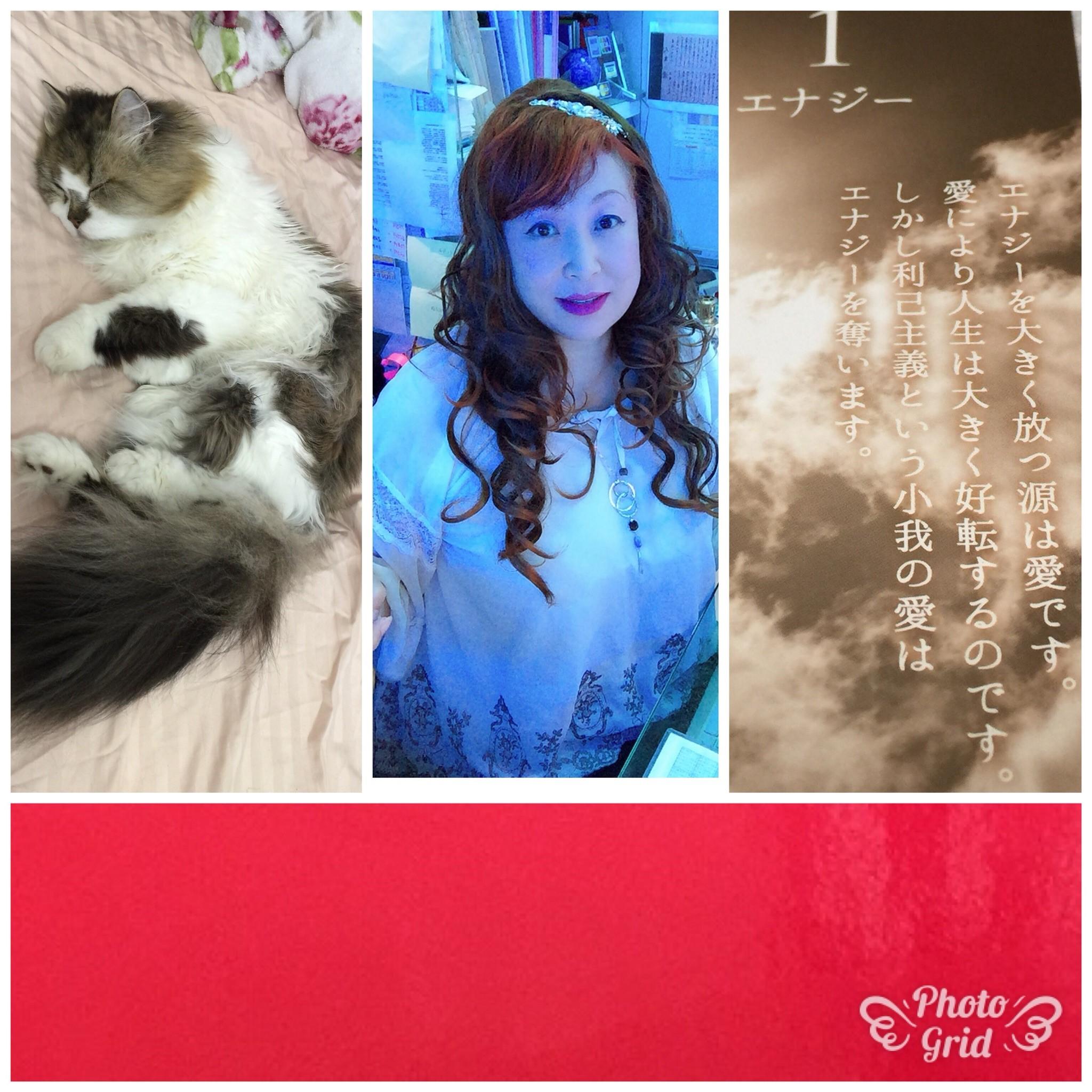 �_�l����̃��b�Z�[�W